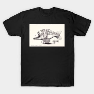 The Little Spotted Fish T-Shirt